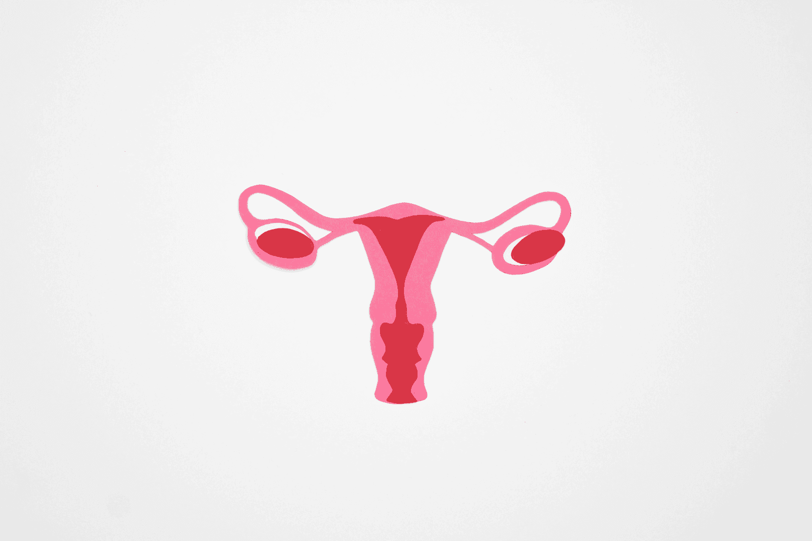 Pap Smear Guidelines: What You Need to Know About Cervical Cancer Screenings